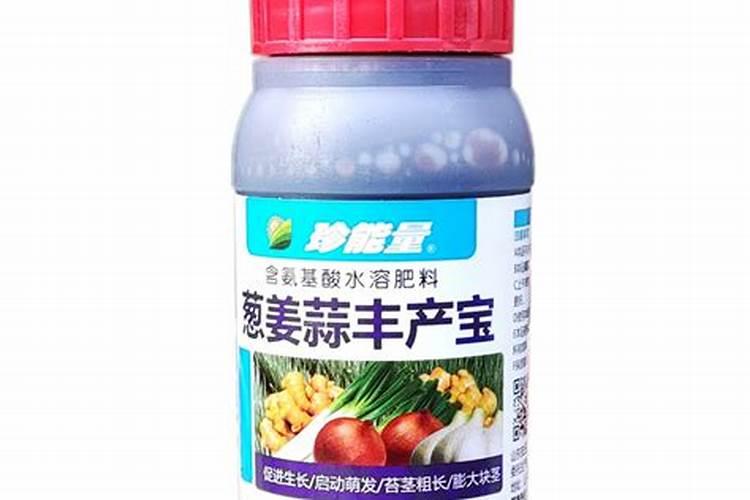 自己种的葱拿什么施肥