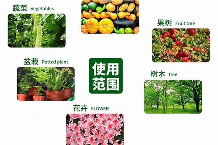 芸苔素使用有什么禁忌