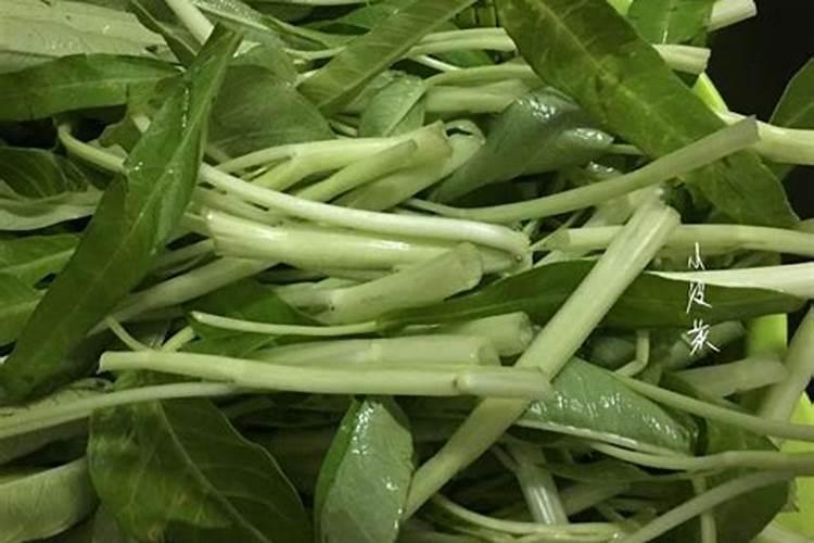 空心菜用什么叶肥好