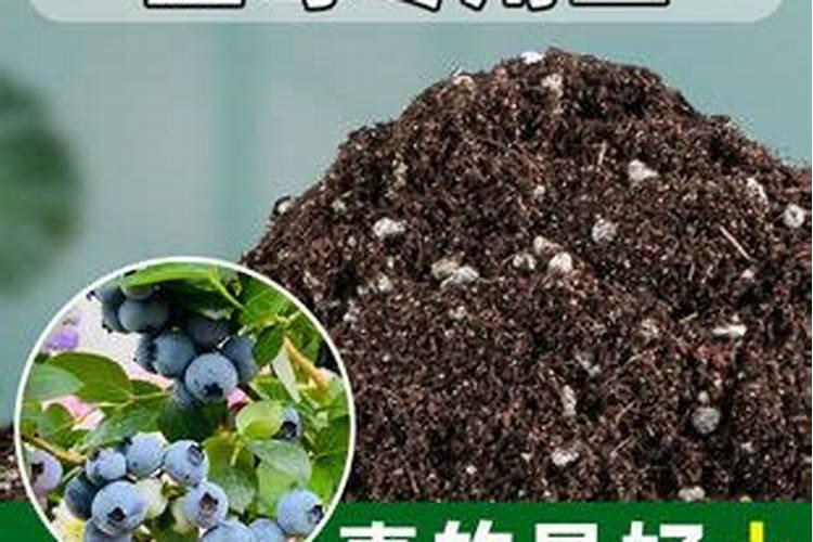 洞氮是哪里 洞氮是什么地方