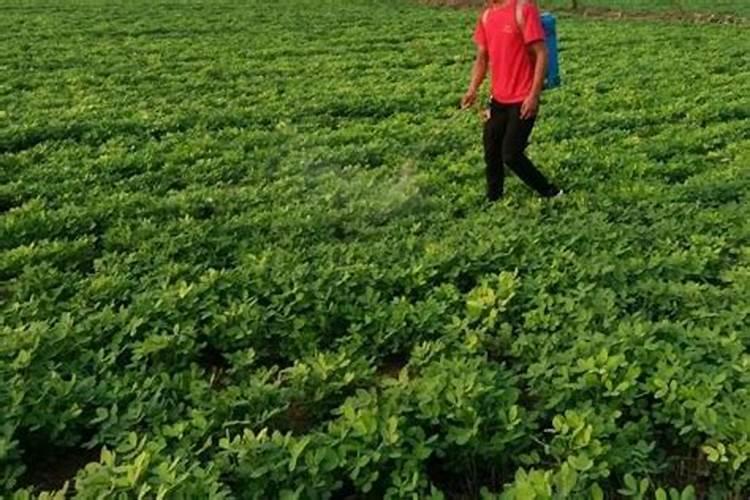 洞氮是哪里 洞氮是什么地方