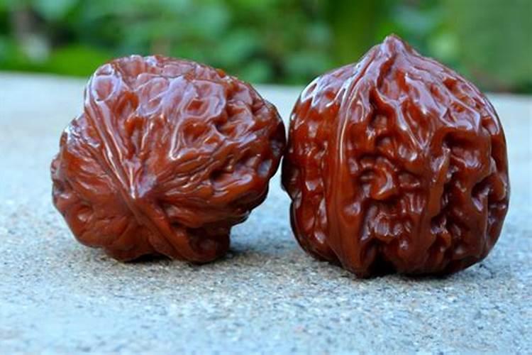 大蒜专用什么肥料