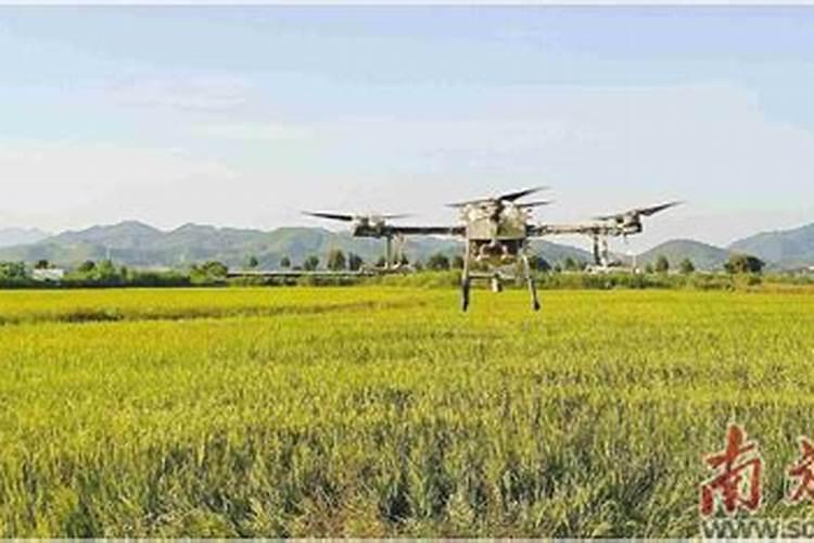 车用尿素可以给植物施肥吗 车用尿素能用在农作物上面做肥料吗