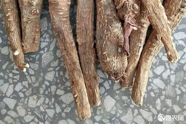 苦瓜黄叶病怎样治疗