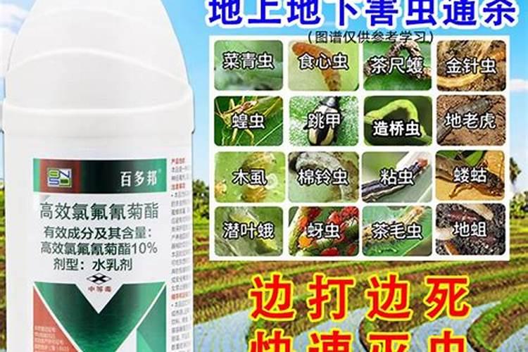 农用钙肥十大品牌