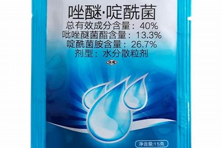 蟹爪兰施什么肥可以开花