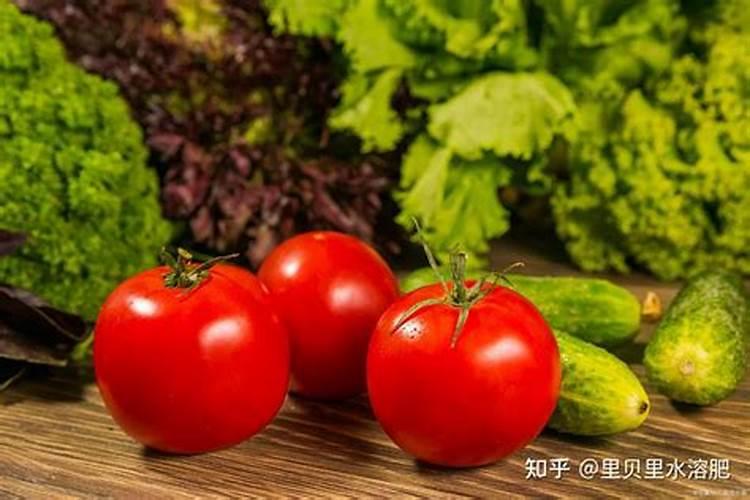 中国最大的化肥龙头上市公司(最新名单)