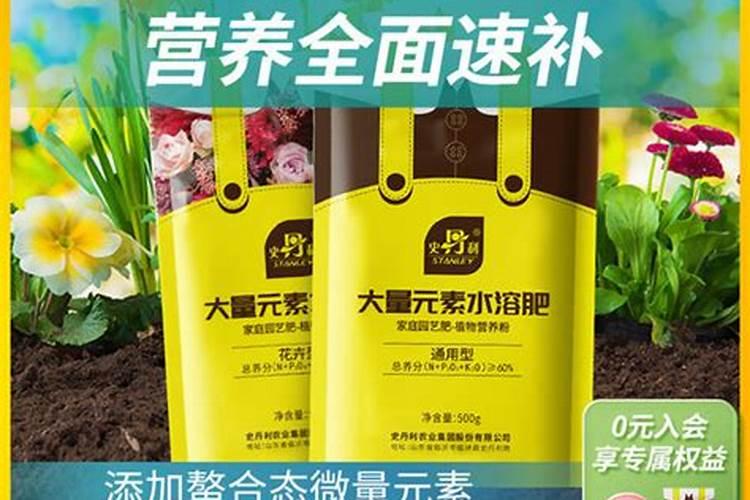 什么叶面肥抗旱