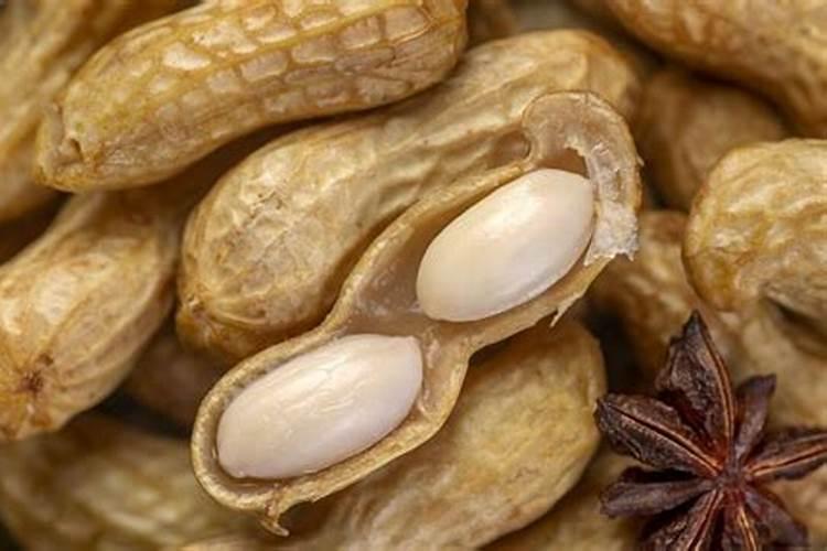 复合肥料十大品牌