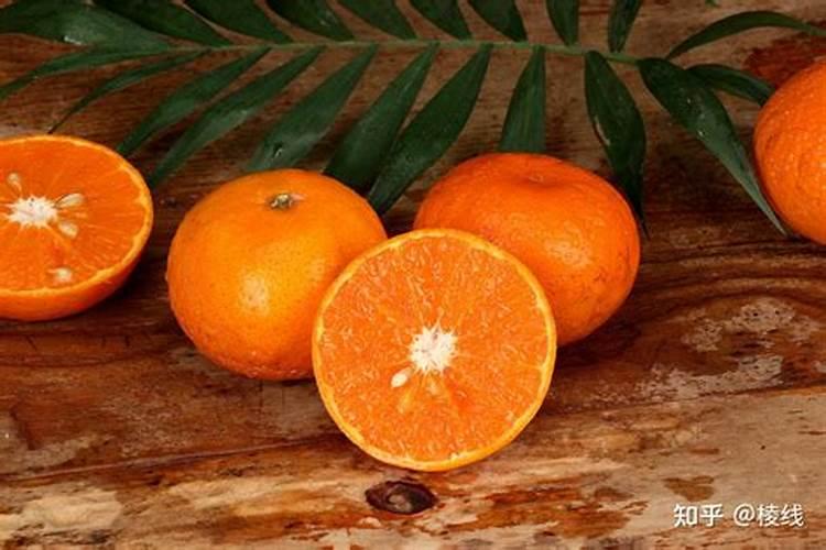 三角梅夏天能施肥吗？适合用哪种肥料以及多久施一次？