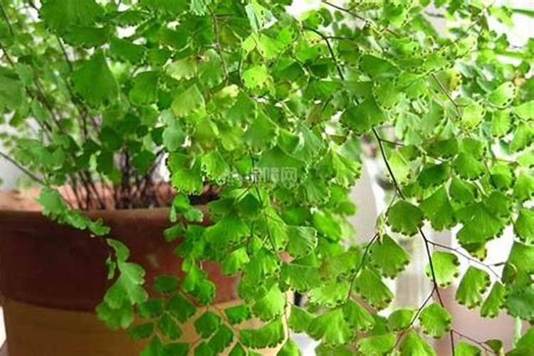 论述氮在土壤中损失的主要途径,如何提高氮肥利用率？