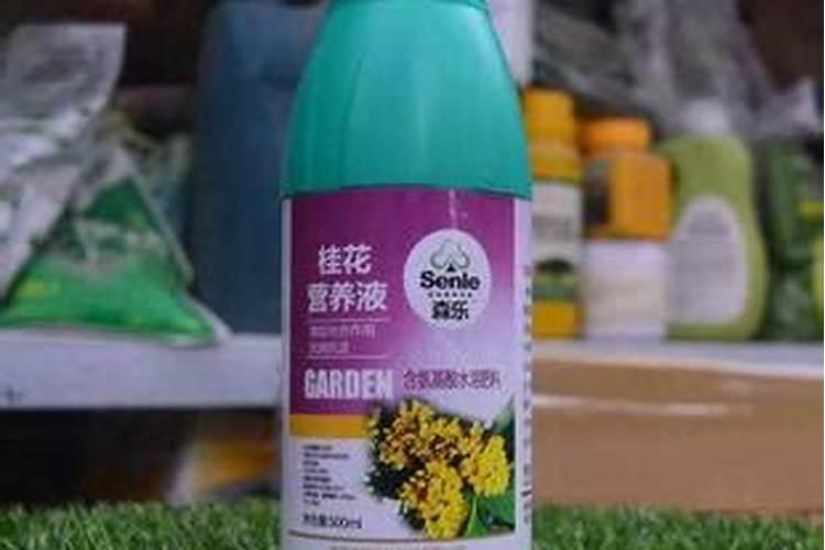 草木灰如何做肥料