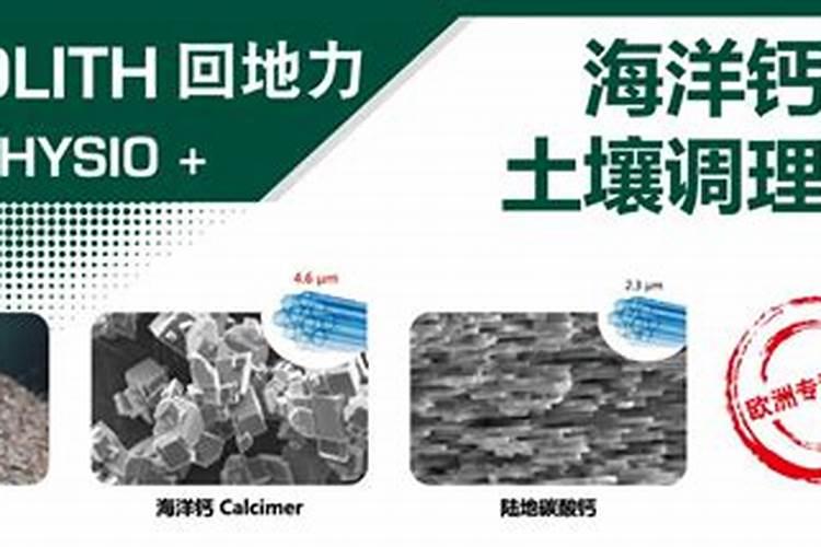 莴笋中期喷施920后猛长高怎么办