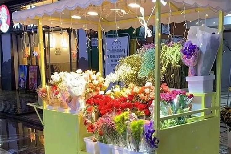 天堂鸟施肥需施什么肥料