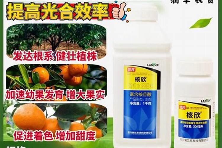 什么肥料促进根系生长