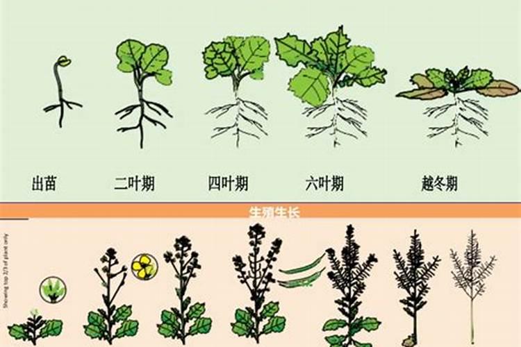 墨水的溶剂是什么