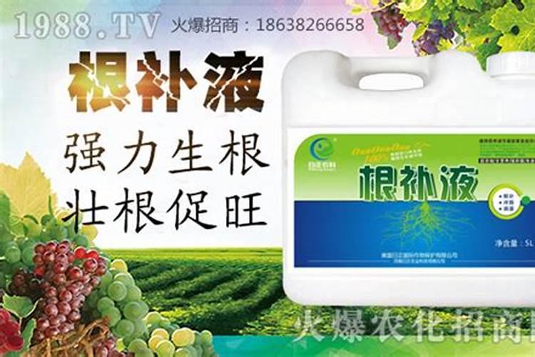 红糖生根最佳肥料