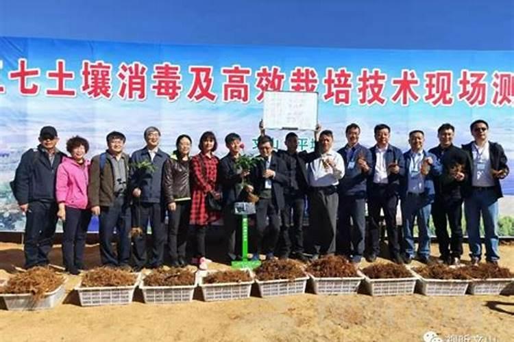 硝态氮肥的功效与作用