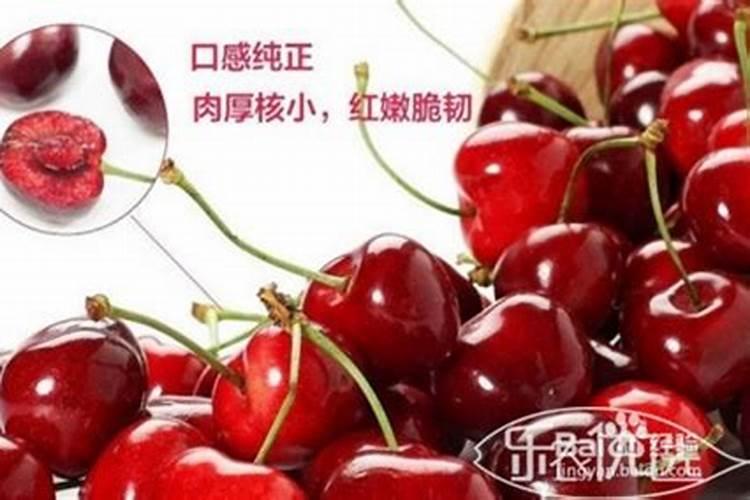 什么是硼砂珠实验？