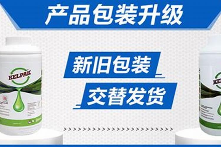 铁树叶子发黄怎么办啊