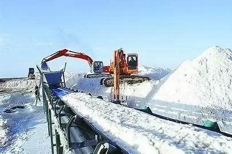 潍坊市信得生物科技有限公司是做什么的？