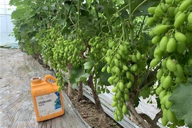 供销社龙头股票有哪些？