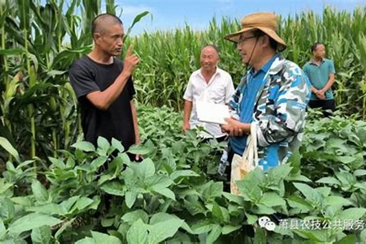 中年女人夏天补钙的好处