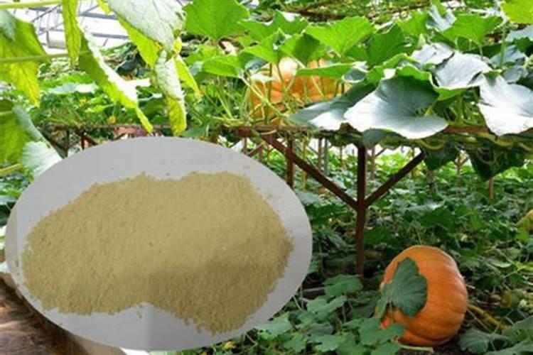 桃树膨大期专用增产叶面肥料？桃树结果期用哪种水溶肥效果好？