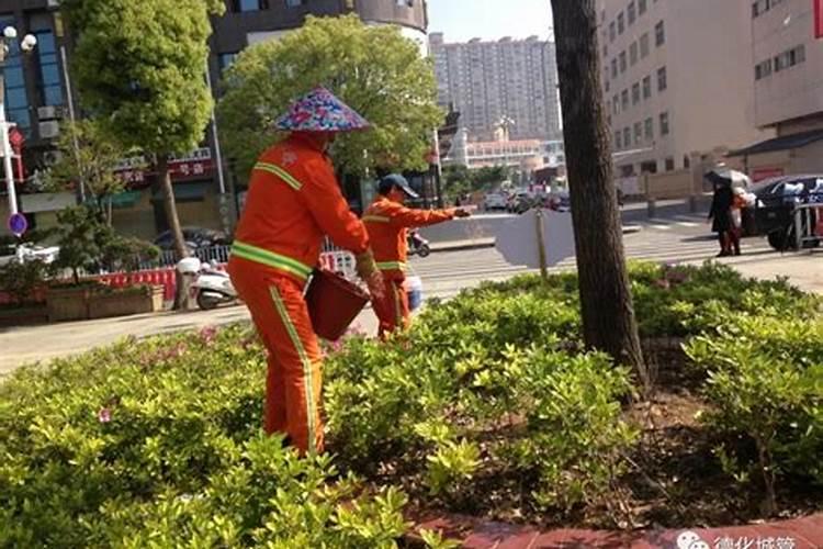 绿化树用什么肥料最好