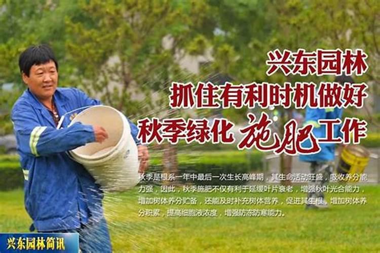 绿化树什么时候施肥合适？