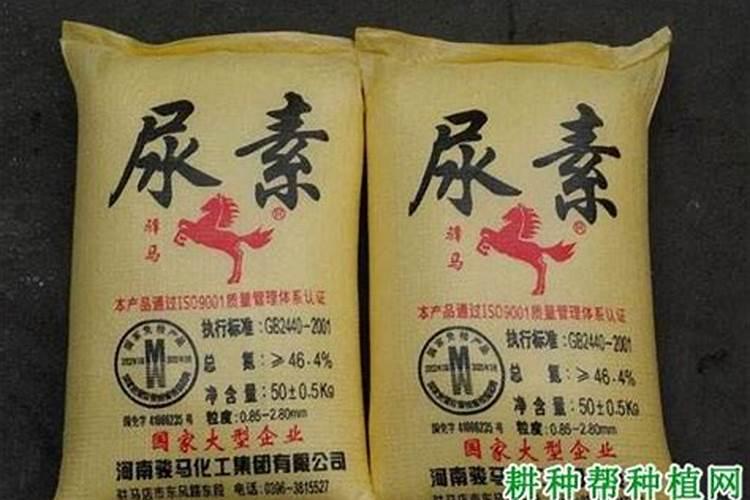 铵态氮肥有哪些