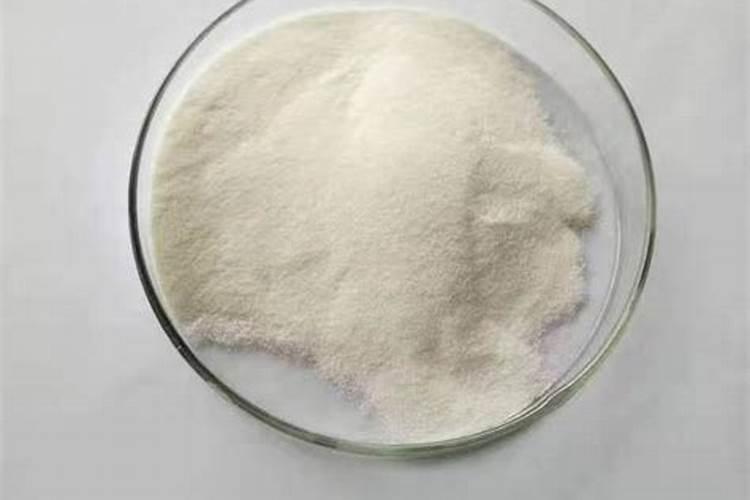 马鲛鱼多少钱一斤？