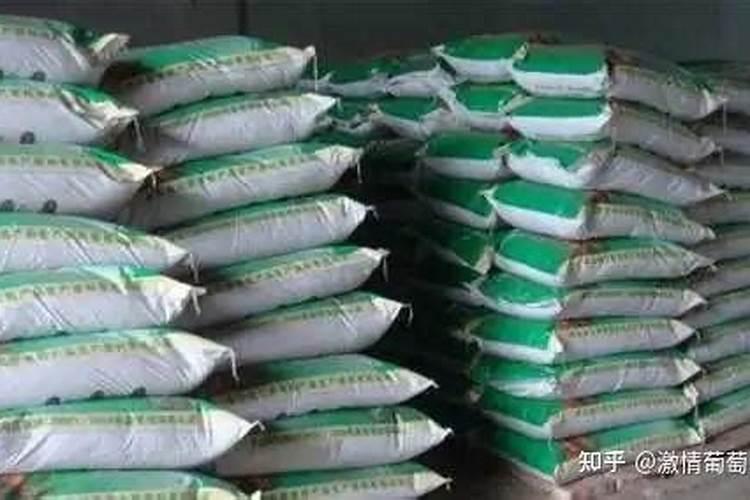 植物缺钙怎么解决？什么钙肥补充效果更好？