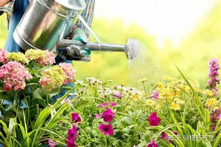 花生开花期要施什么肥花生开花期怎么施肥