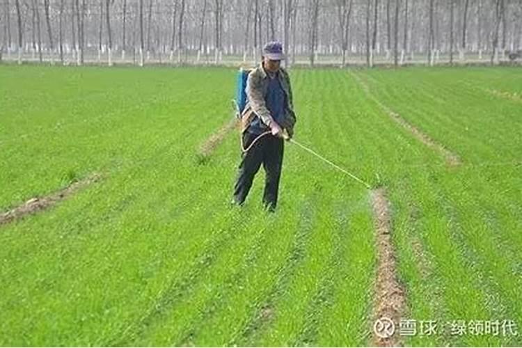 什么时候吃柠檬最好