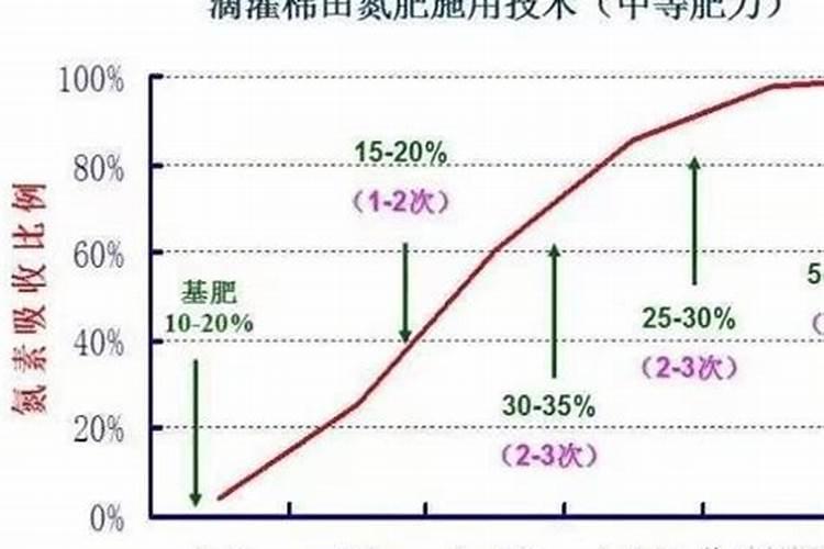 火龙果今年为什么不结果？