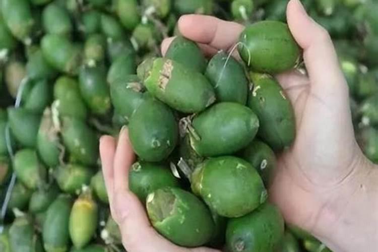 槟榔树收果后施什么肥料最好。