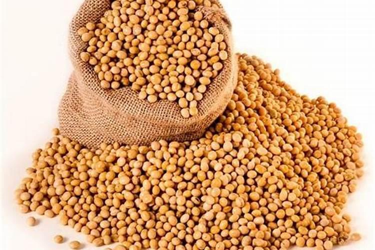 大豆花期喷什么叶面肥好