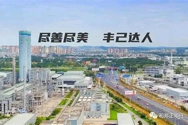 中国最大的化肥龙头上市公司(最新名单)