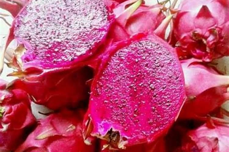 火龙果能不能放复合肥