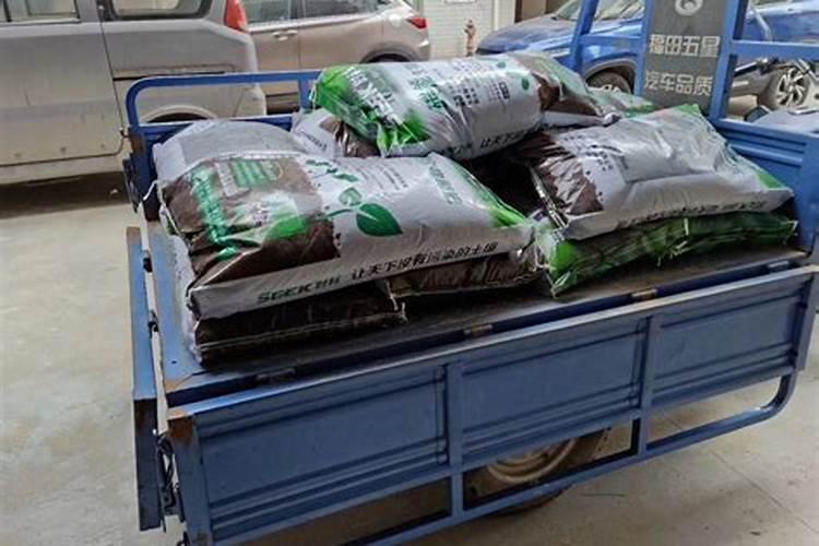 豆角黄瓜要多久能发芽