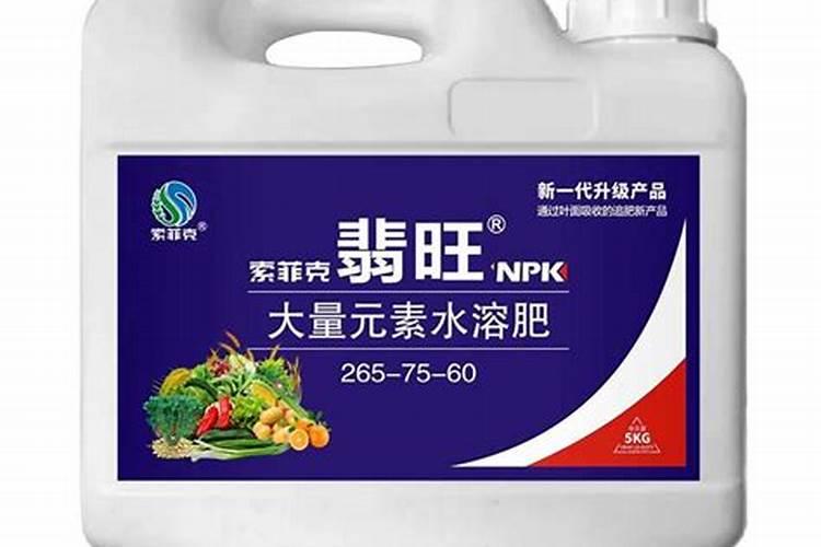 红薯叶露天的,大棚种那个好？