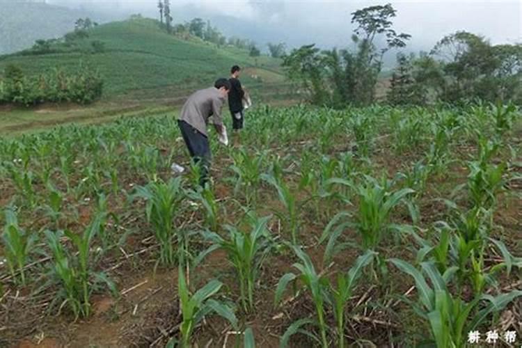 初入校园的诗句