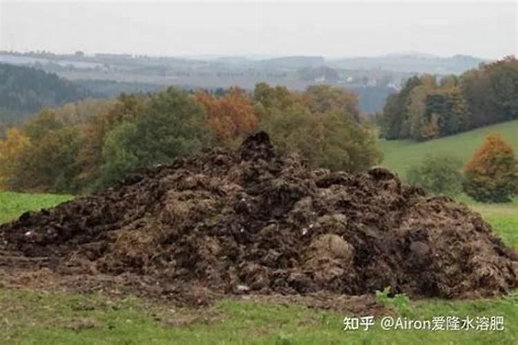 澳门的淡水是哪里来的