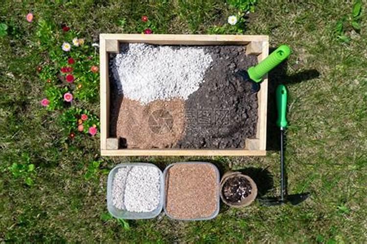 有机水溶肥的作用