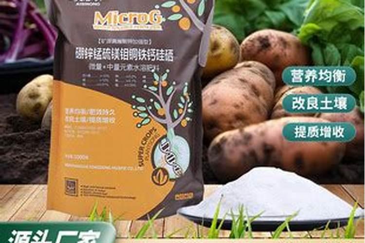 种一亩山药的成本是多少？