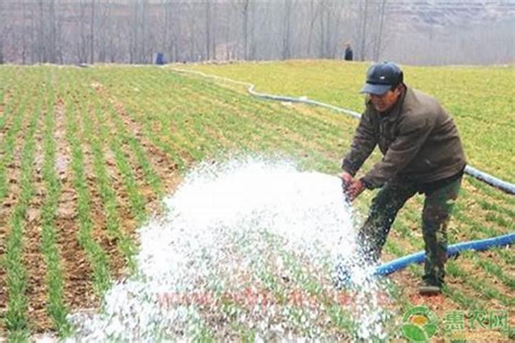 泡黄豆的水可以直接打豆浆吗