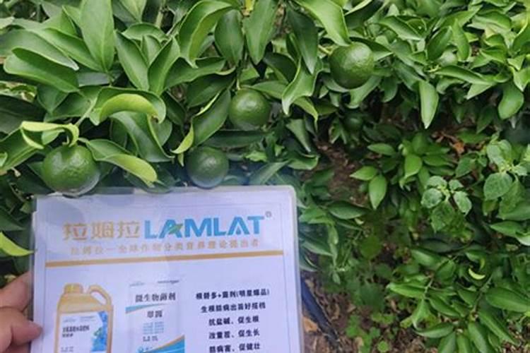 绣球专用肥适合别的花卉吗？