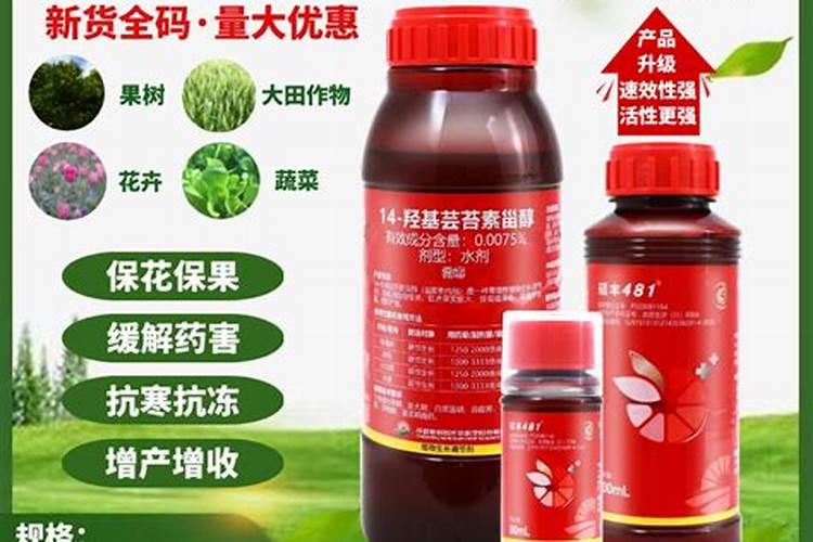 玉米几叶能用芸苔素,芸苔素多久喷一次