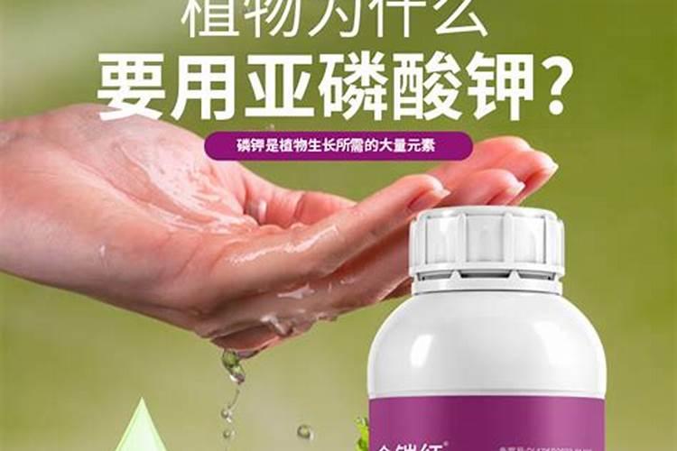 亚磷酸钾果树种植方法亚磷酸钾果树怎么种